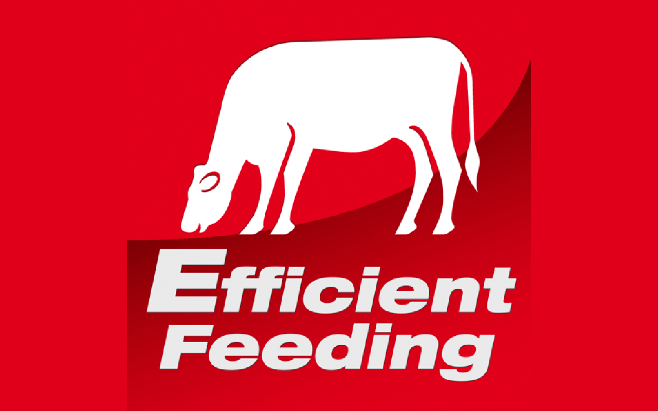 Etiquette Efficient Feeding