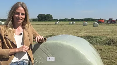 Comparaison des coûts de liage et d'enrubannage par film ou par filet