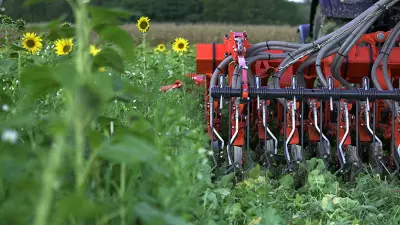 La gestion des couverts en TCS