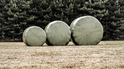 Passion for Bales - Weighing