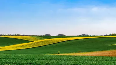 Organiser ses chantiers de semis en TCS