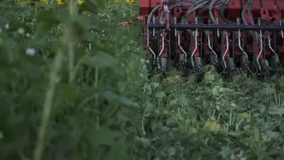 Semoir traîné pour semis direct ou agriculture de conservation AUROCK 6000 RC avec double trémie