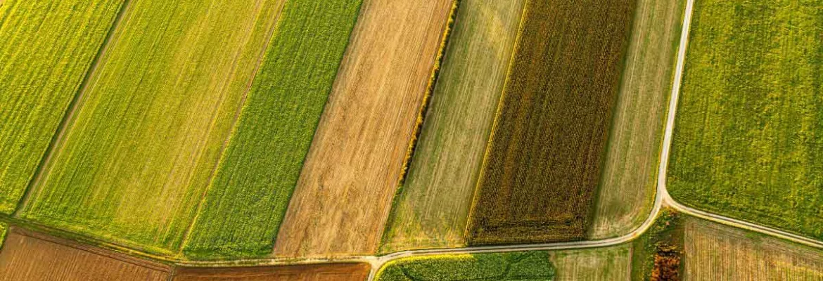aerial view of a vibrant patchwork of farmland with cover crop fields