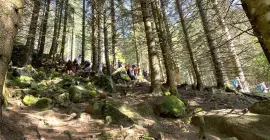 Des sorties randonnées sont organisées (Lac noir, Lac Blanc, Lac des truites...)