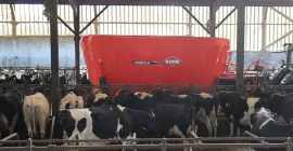 Mélangeuse traînée PROFILE en cours de distribution de la ration dans une stabulation laitière