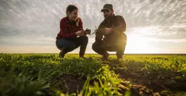 Agriculteur dans vérifiant la qualité de leur culture