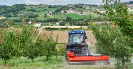 Broyeurs vignes et vergers BVL 240