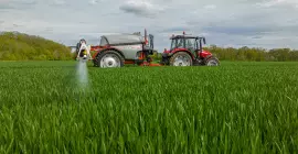 LEXIS 3800 au travail dans un champ de blé