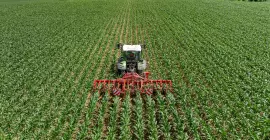 La bineuse ROWLINER au travail dans un champs