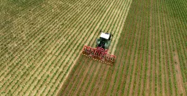La bineuse ROWLINER au travail dans un champ