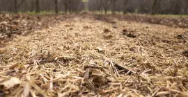  Photo du broyeur TDP 2000 spécialiste des vergers