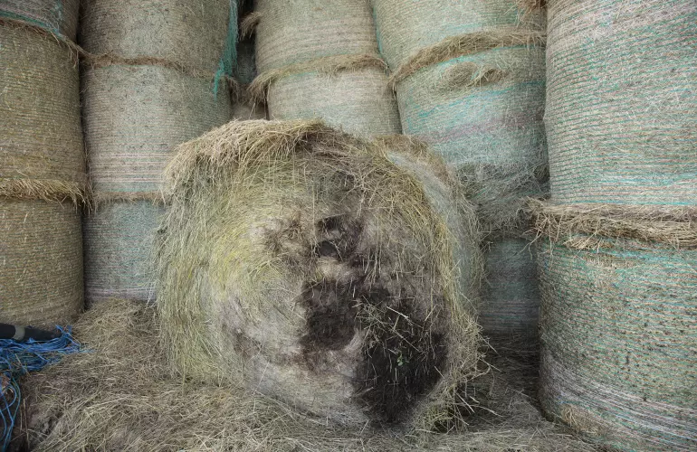 stockage de foin dégradé