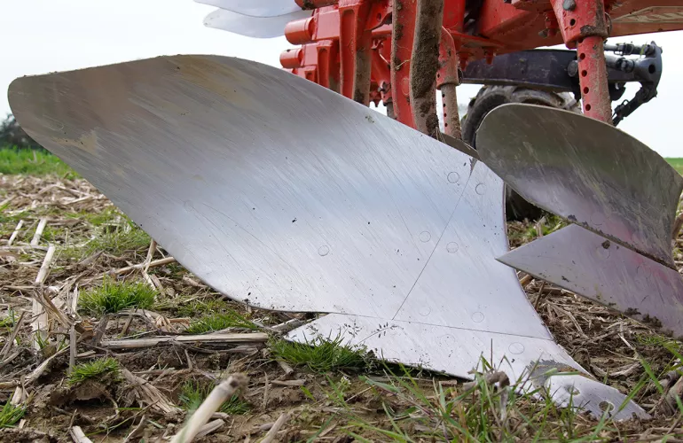 le soc à aileron