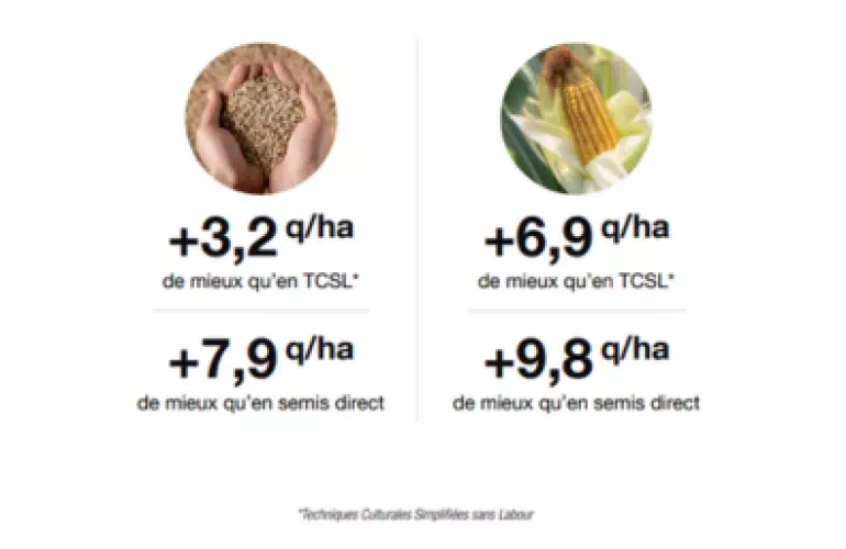 Les rendements des cultures après labour