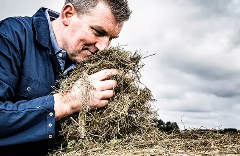Photo illustrant un fourrage de qualité