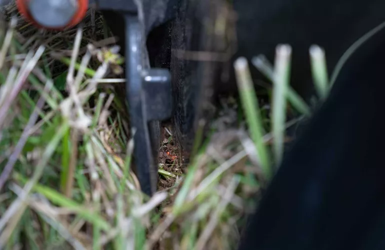 Soil-conservation seeding