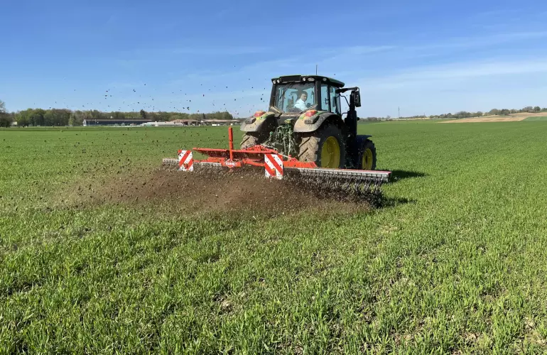 Houe rotative en action