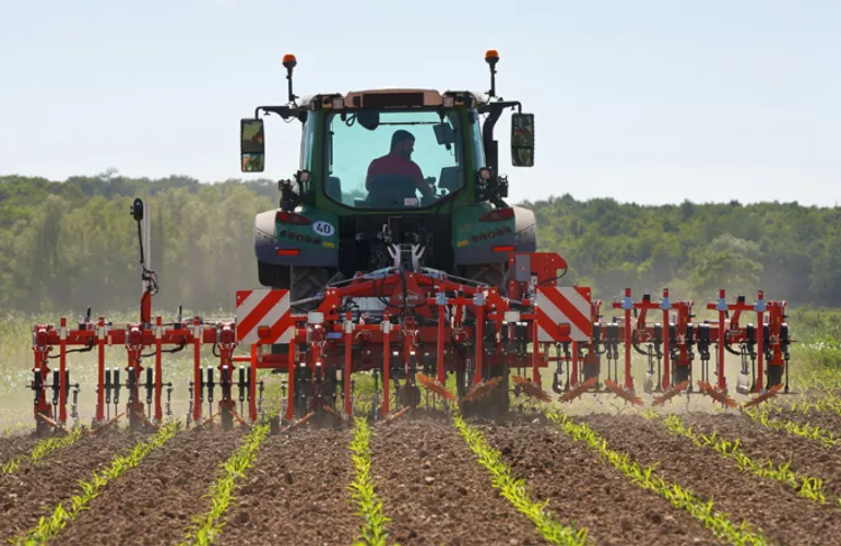 Un tracteur vert tracte une bineuse de précision ROWLINER dans une parcelle où les rangs de culture sont en cours de levée. L’outil travaille le sol entre les rangs semés dans un environnement agricole rural. 