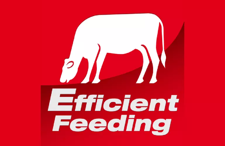 Etiquette Efficient Feeding