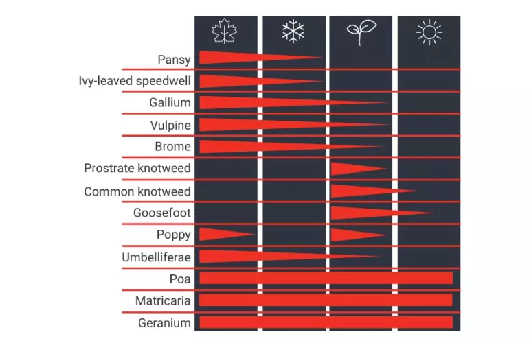 Exemple de saisonnalité de la levée des mauvaises herbes