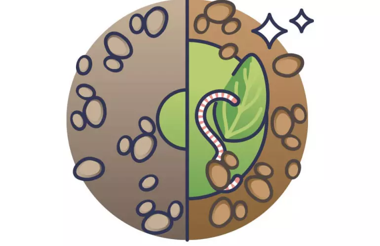 Améliorer la qualité du sol grâce à la matière organique et aux vers de terre