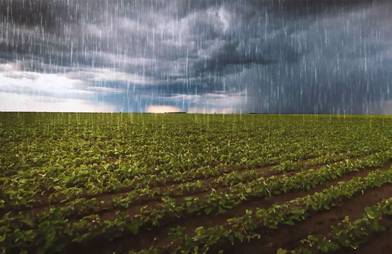 conditions pluvieuses - nitrates dans l'eau