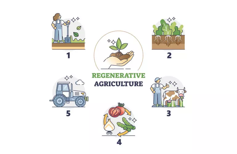 5 principes de l'agriculture régénératrice - schéma de la méthode