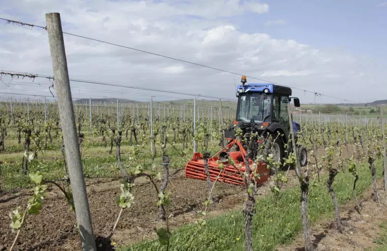 Herse rotative HRB 152 au travail dans les vignes