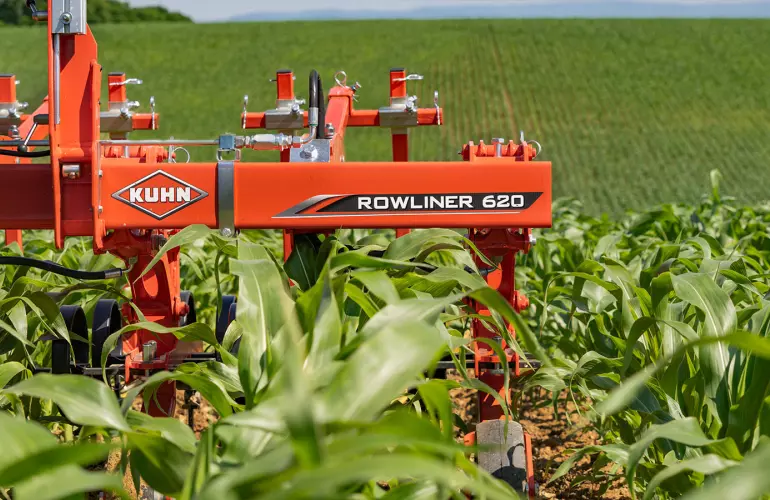 Photo de la bineuse ROWLINER dans du maïs au stade 9 feuilles