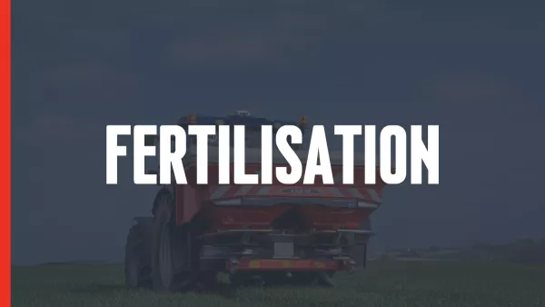 fertilisation