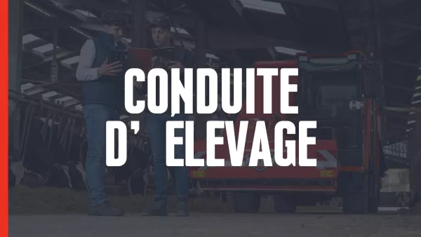 conduite d'élevage