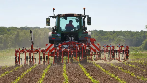 Un tracteur vert tracte une bineuse de précision ROWLINER dans une parcelle où les rangs de culture sont en cours de levée. L’outil travaille le sol entre les rangs semés dans un environnement agricole rural. 