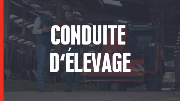 Encart conduite d'élevage
