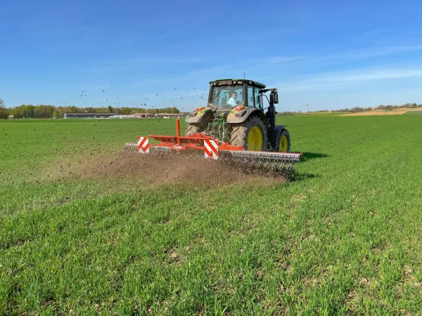 Un tracteur tracte la houe rotative STARLINER rouge de KUHN dans un champ verdoyant, travaillant le sol en bandes. La scène illustre un chantier agricole sous un ciel bleu dégagé, avec des oiseaux visibles dans les airs.