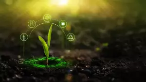 CIPAN - Les cultures intermédiaires sont des couverts