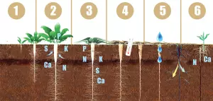 Schéma cycle de vie travail du sol