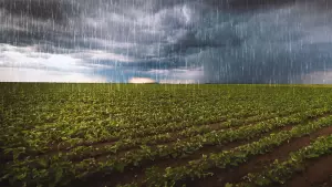 conditions pluvieuses - nitrates dans l'eau