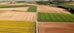 Photo illustrant des parcelles de cultures agricoles