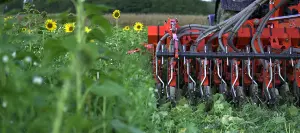 La gestion des couverts en TCS