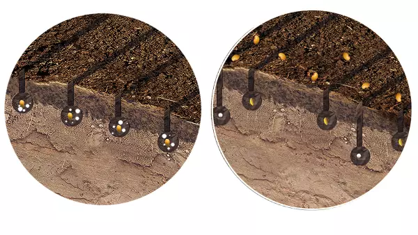 Schéma de la fertilisation localisée