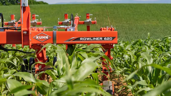 Photo de la bineuse ROWLINER dans du maïs au stade 9 feuilles