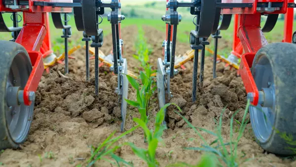Photo des tôles de protection de la bineuse ROWLINER