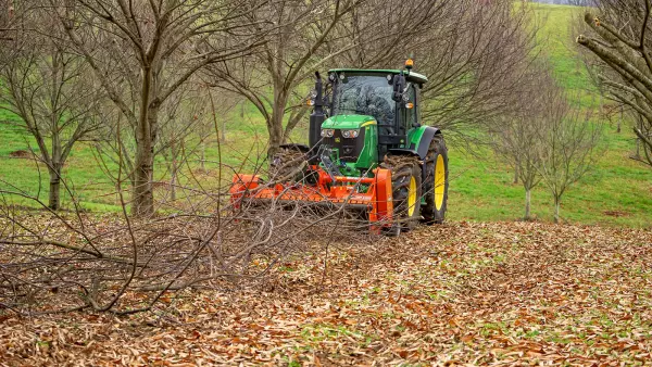 Le broyeur vergers TDP 2000 au travail dans une chataigneraie du sud de la France