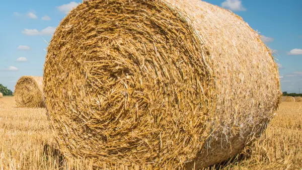 Le système de surpression PROGRESSIVE DENSITY PLUS permet d'augmenter la densité de 10 % pour les cultures sèches