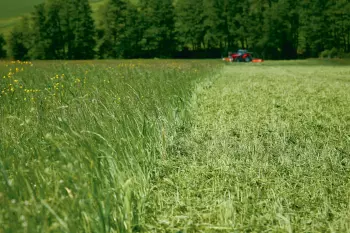Couvert végétal détruit avec le broyeur BP 8300