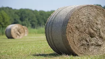 Balles de forme ferme avec liage par filet