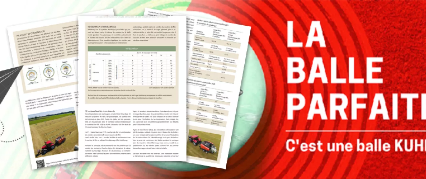 livre blanc