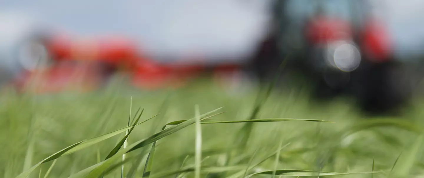 Avant saison : Herbe & Récolte