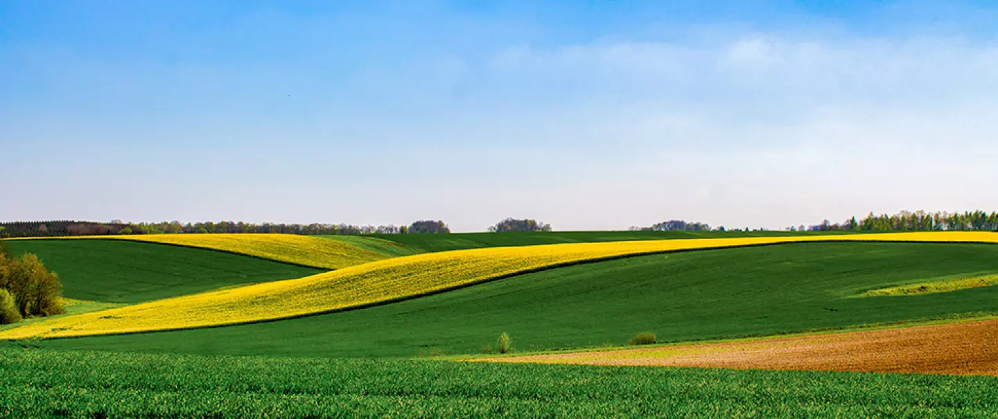 Organiser ses chantiers de semis en TCS