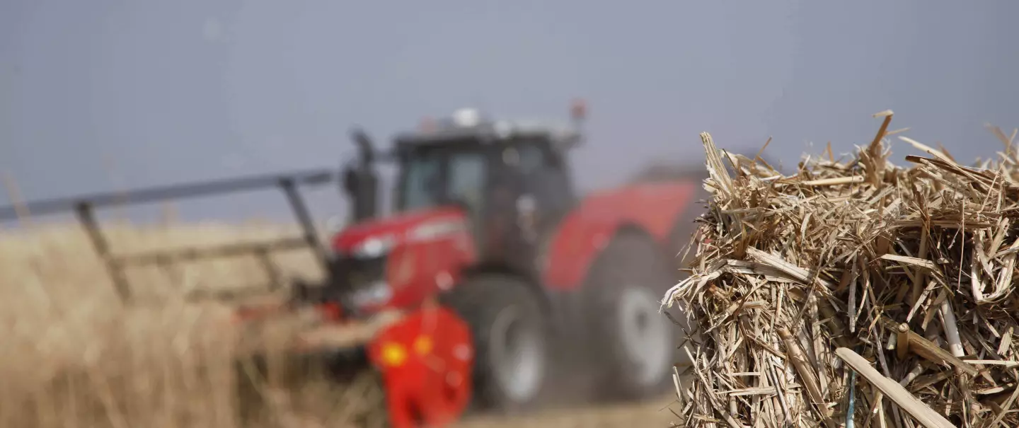  Photo du broyeur WS 320 BIO au travail